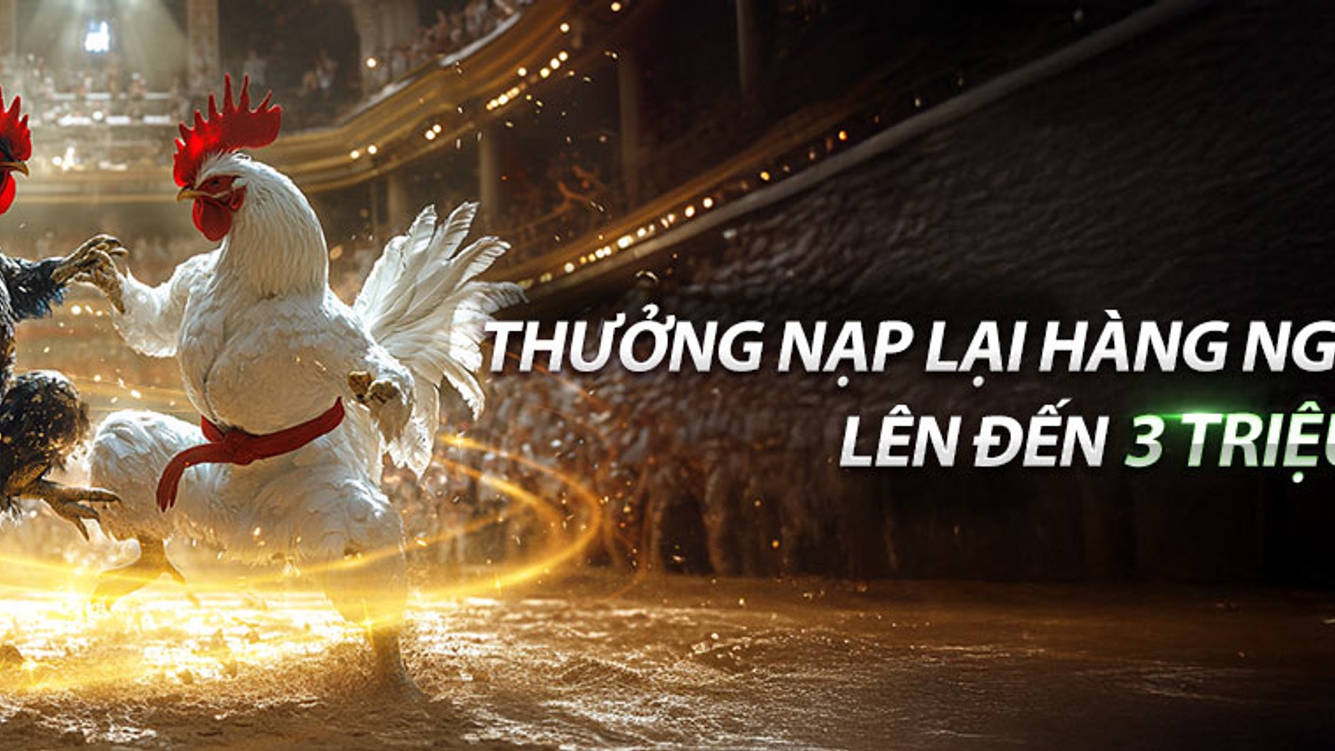 Sân đấu đá gà trực tuyến 88nn đầy kịch tính